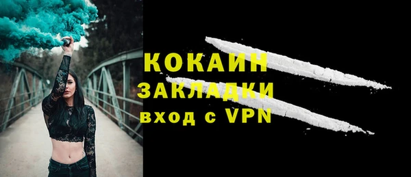 хмурый Гусев