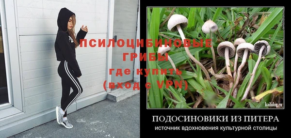хмурый Гусев