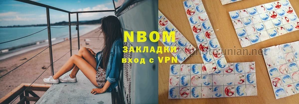 хмурый Гусев