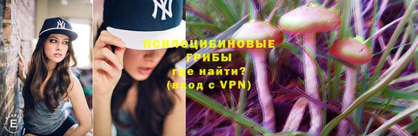сатива Гусиноозёрск