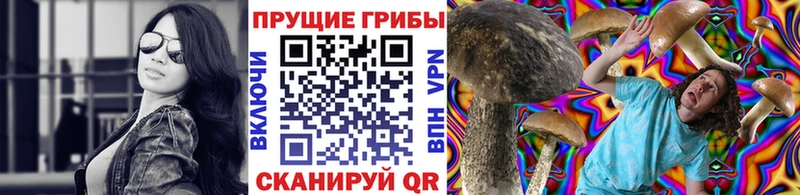 Псилоцибиновые грибы GOLDEN TEACHER  ОМГ ОМГ tor  Каменск-Шахтинский  купить наркоту 
