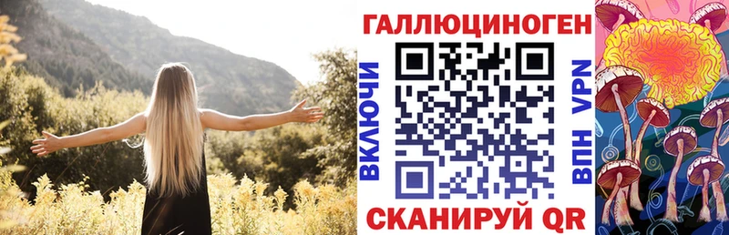 Галлюциногенные грибы GOLDEN TEACHER Каменск-Шахтинский