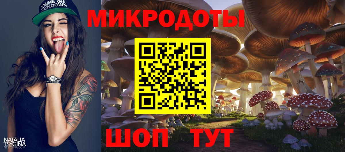 Галлюциногенные грибы Psilocybine cubensis Каменск-Шахтинский